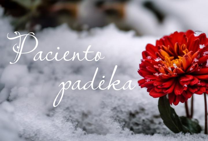 Dėkingumas medikėms už šilumą ir atsidavimą slaugant namuose